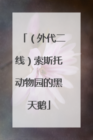 （外代二线）索斯托动物园的黑天鹅