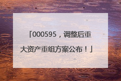 000595，调整后重大资产重组方案公布！
