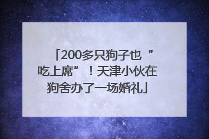 200多只狗子也“吃上席”！天津小伙在狗舍办了一场婚礼