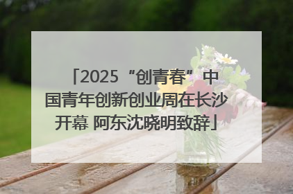 2025“创青春”中国青年创新创业周在长沙开幕 阿东沈晓明致辞
