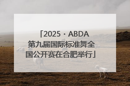 2025・ABDA 第九届国际标准舞全国公开赛在合肥举行