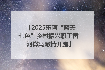2025东阿“蓝天七色”乡村振兴职工黄河微马激情开跑