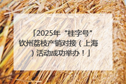2025年“桂字号”钦州荔枝产销对接（上海）活动成功举办！