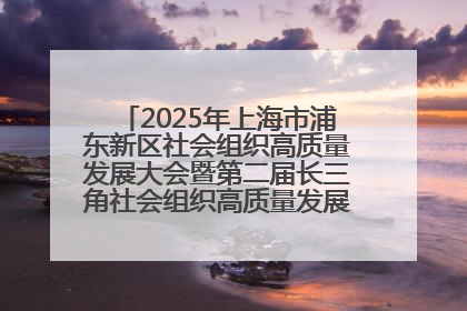 2025年上海市浦东新区社会组织高质量发展大会暨第二届长三角社会组织高质量发展峰会成功举办