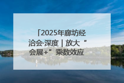 2025年廊坊经洽会·深度｜放大“会展+”乘数效应 打造消费新场景