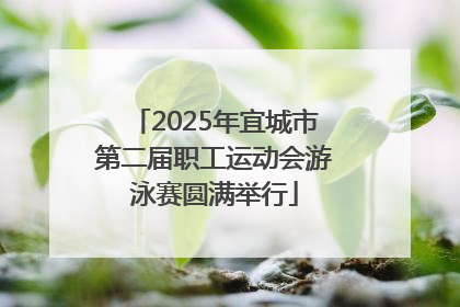 2025年宜城市第二届职工运动会游泳赛圆满举行