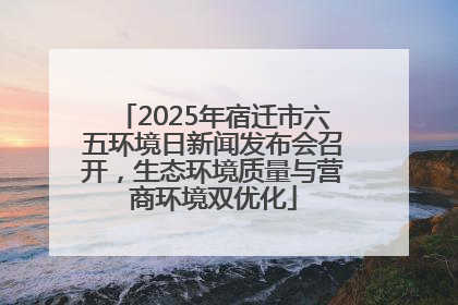 2025年宿迁市六五环境日新闻发布会召开，生态环境质量与营商环境双优化
