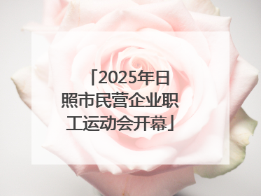 2025年日照市民营企业职工运动会开幕
