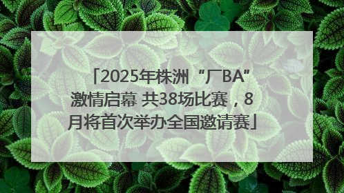 2025年株洲“厂BA”激情启幕 共38场比赛，8月将首次举办全国邀请赛