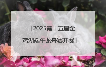 2025第十五届金鸡湖端午龙舟赛开赛