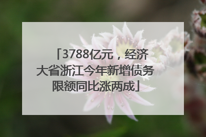 3788亿元，经济大省浙江今年新增债务限额同比涨两成