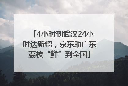 4小时到武汉24小时达新疆，京东助广东荔枝“鲜”到全国