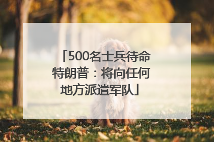500名士兵待命 特朗普：将向任何地方派遣军队