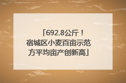 692.8公斤！宿城区小麦百亩示范方平均亩产创新高