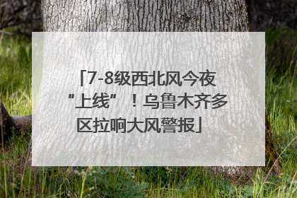 7-8级西北风今夜“上线”！乌鲁木齐多区拉响大风警报