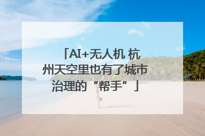 AI+无人机 杭州天空里也有了城市治理的“帮手”