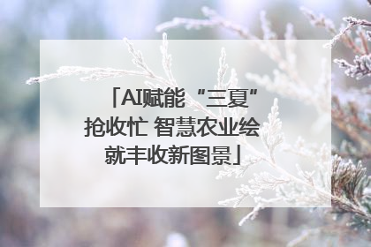 AI赋能“三夏”抢收忙 智慧农业绘就丰收新图景
